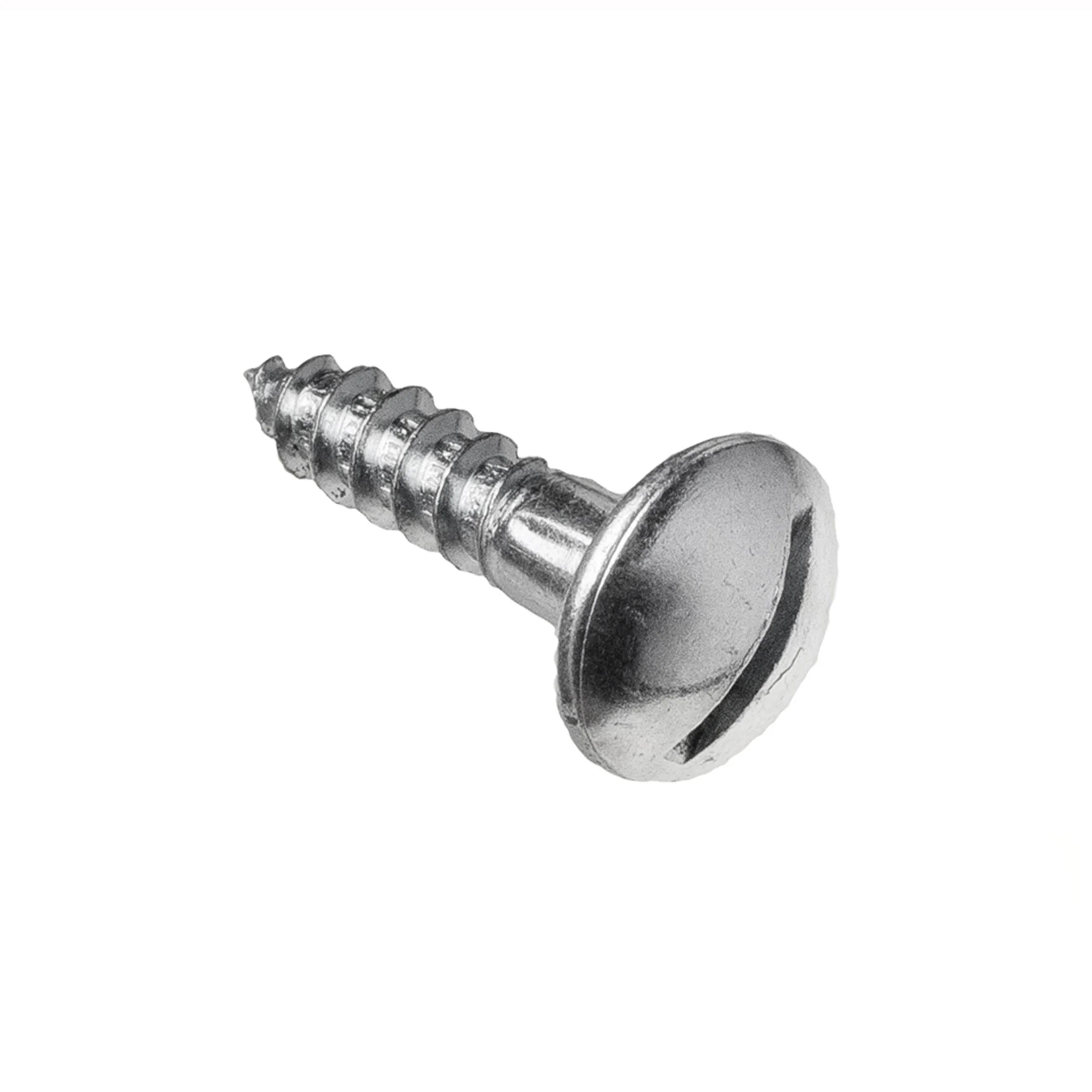 Cast Iron Gutter Fixing Screw with Washer