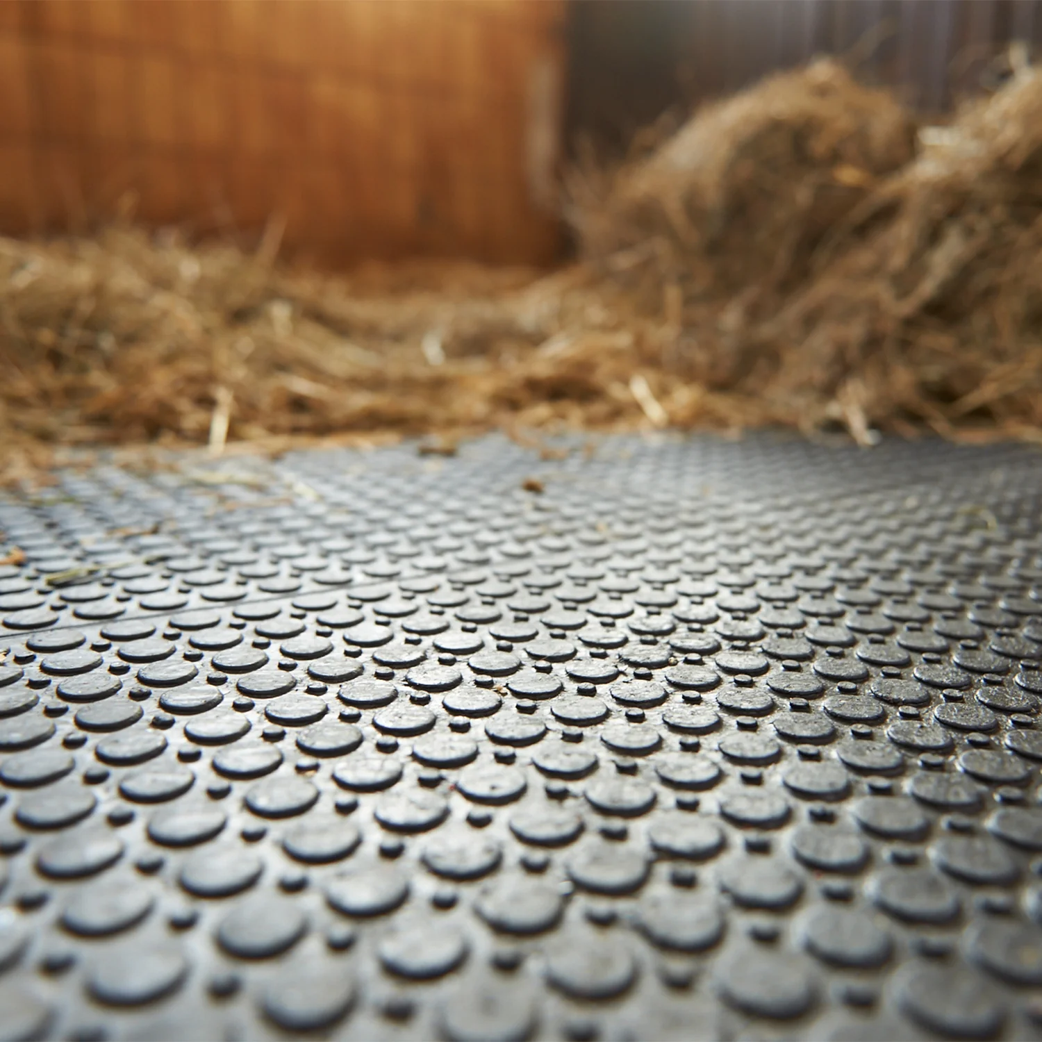 EcoGrid Bodenmat Ground Stabilisation Grid 1200 x 800mm - Image 6