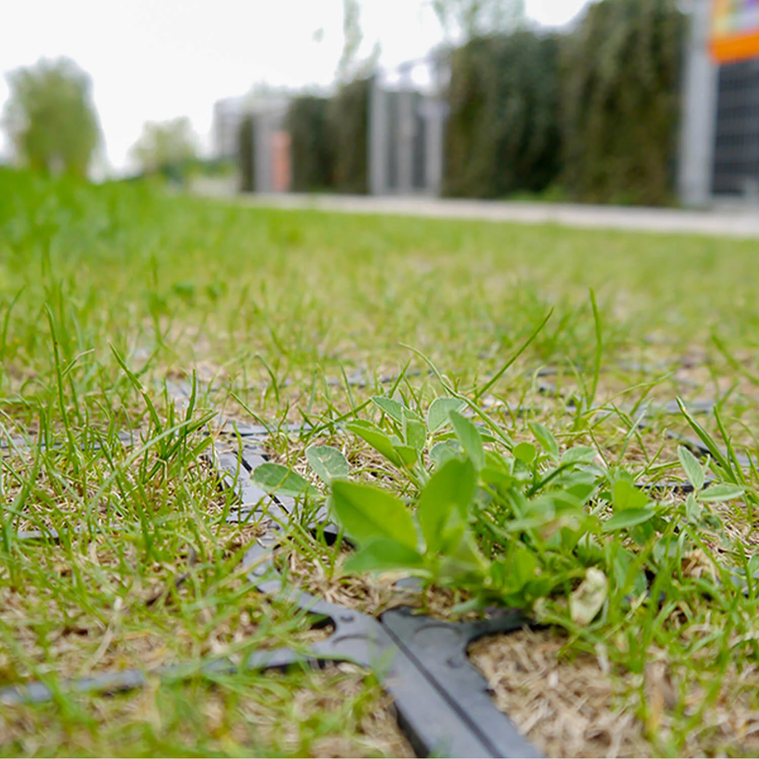 EcoGrid E30 Shed / Walkway Base - 1m2 Pack - Image 12