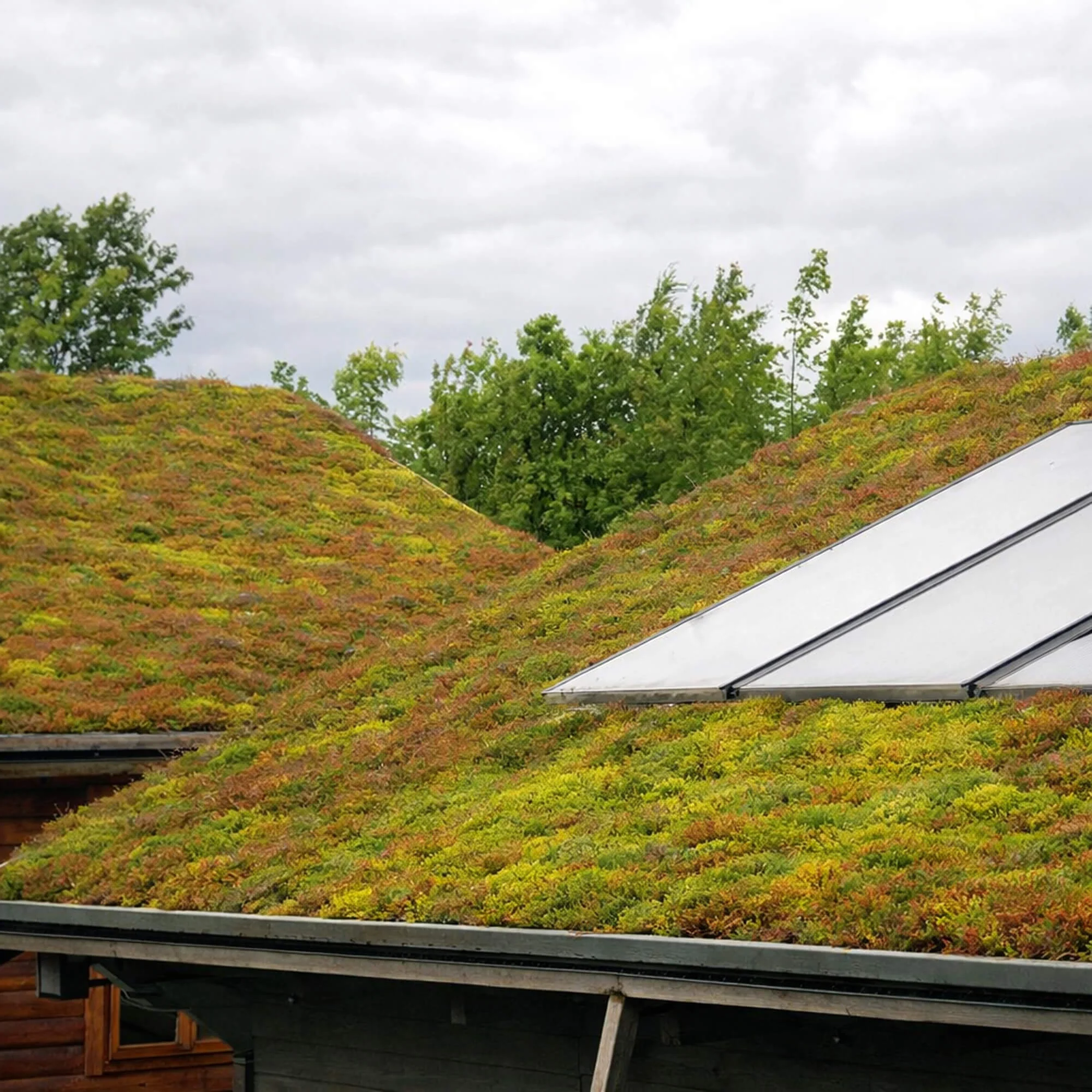 Ecosedum Pack Green Roof Tray System - Image 3